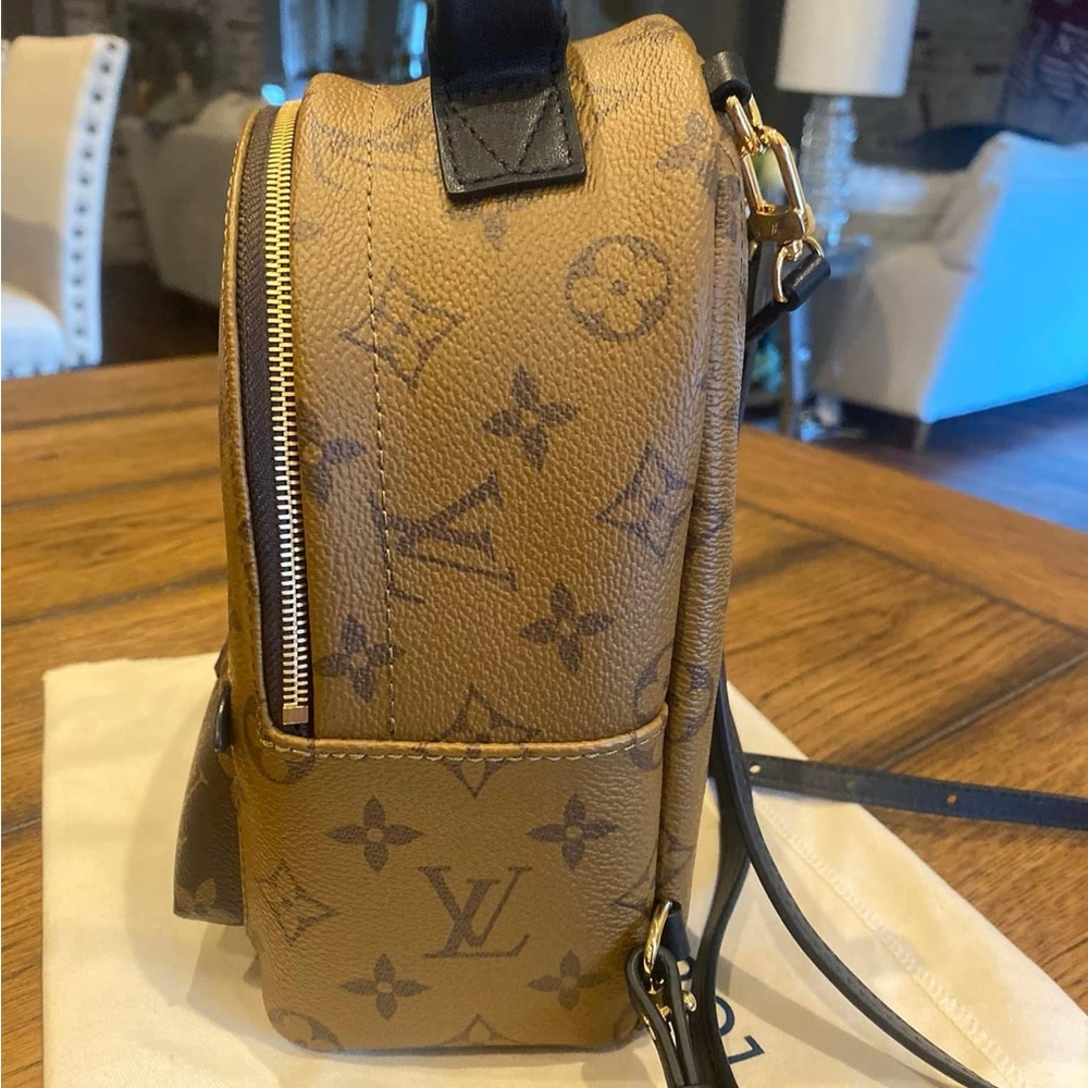 Louis Vuitton Reverse Palm Spring mini - Picture 4 of 6
